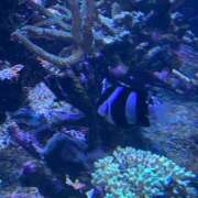 ヒメ日記 2026/01/22 08:42 投稿 ちょこ スピードエコ難波店