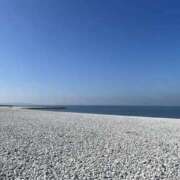 ヒメ日記 2026/02/04 15:42 投稿 ちょこ スピードエコ難波店