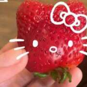 ヒメ日記 2026/03/11 08:42 投稿 ちょこ スピードエコ難波店