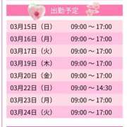 ヒメ日記 2026/03/15 18:12 投稿 ちょこ スピードエコ難波店