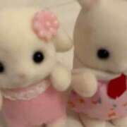 ヒメ日記 2026/03/21 09:03 投稿 ちょこ スピードエコ難波店