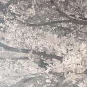 ヒメ日記 2026/04/03 20:32 投稿 ちょこ スピードエコ難波店