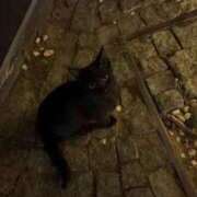 ヒメ日記 2026/04/08 21:02 投稿 ちょこ スピードエコ難波店