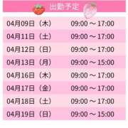 ヒメ日記 2026/04/09 09:32 投稿 ちょこ スピードエコ難波店