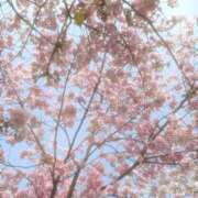 ヒメ日記 2026/04/16 19:02 投稿 ちょこ スピードエコ難波店