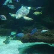 ヒメ日記 2026/04/17 22:52 投稿 ちょこ スピードエコ難波店