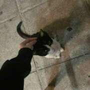 ヒメ日記 2026/04/19 07:22 投稿 ちょこ スピードエコ難波店