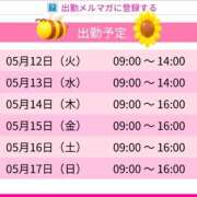 ヒメ日記 2026/05/08 22:54 投稿 ちょこ スピードエコ難波店
