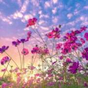 ヒメ日記 2025/10/11 09:44 投稿 相川あずみ 人妻百花