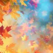 ヒメ日記 2025/11/03 09:35 投稿 相川あずみ 人妻百花