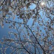 相川あずみ 気持ちの良い ちょうどいい奥さん