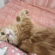 ヒメ日記 2024/12/10 13:45 投稿 村田 鶯谷人妻城