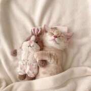 ヒメ日記 2025/02/20 17:37 投稿 村田 鶯谷人妻城