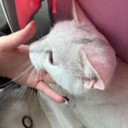 ヒメ日記 2025/04/26 10:56 投稿 村田 鶯谷人妻城