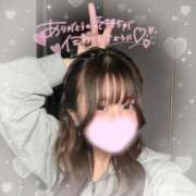 ヒメ日記 2026/02/25 22:31 投稿 あんな 激安ソープの殿堂　ボイン・ホーテ