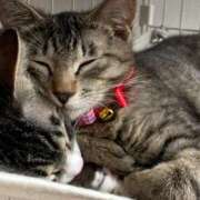 ヒメ日記 2025/04/14 09:35 投稿 いぶき【FG系列】 ハンドdeフィーリングin横浜（FG系列）