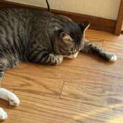 ヒメ日記 2025/08/29 15:22 投稿 いぶき【FG系列】 ハンドdeフィーリングin横浜（FG系列）