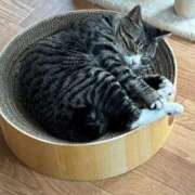 ヒメ日記 2025/10/19 21:53 投稿 いぶき【FG系列】 ハンドdeフィーリングin横浜（FG系列）