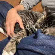 ヒメ日記 2025/10/30 10:44 投稿 いぶき【FG系列】 ハンドdeフィーリングin横浜（FG系列）