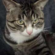 ヒメ日記 2025/11/11 14:45 投稿 いぶき【FG系列】 ハンドdeフィーリングin横浜（FG系列）