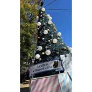 ヒメ日記 2024/12/26 02:00 投稿 れい 素人系イメージSOAP彼女感大宮館