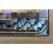 ヒメ日記 2025/12/17 16:07 投稿 れい 素人系イメージSOAP彼女感大宮館