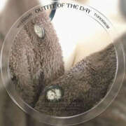 ヒメ日記 2025/04/19 10:46 投稿 みふゆ ハピネス東京 吉原店