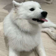 ヒメ日記 2025/05/06 14:07 投稿 みふゆ ハピネス東京 吉原店