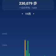 ヒメ日記 2025/12/02 23:46 投稿 みふゆ ハピネス東京 吉原店