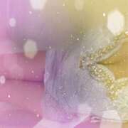 ヒメ日記 2026/02/20 12:40 投稿 みふゆ ハピネス東京 吉原店