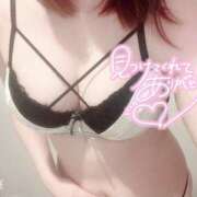 ヒメ日記 2025/11/09 12:21 投稿 みゆ 男爵