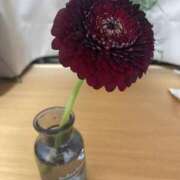 ヒメ日記 2025/03/04 20:16 投稿 つむぎ 天使のゆびさき 船橋店(カサブランカグループ)