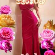 ヒメ日記 2024/12/23 21:16 投稿 葛城 あまね 白夜