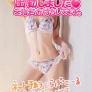 ヒメ日記 2024/12/26 09:40 投稿 葛城 あまね 白夜