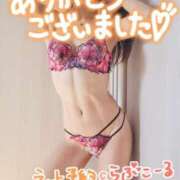 ヒメ日記 2025/01/02 20:15 投稿 葛城 あまね 白夜