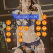 ヒメ日記 2025/04/06 08:15 投稿 葛城 あまね 白夜