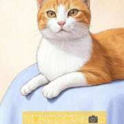 ヒメ日記 2025/04/15 19:15 投稿 葛城 あまね 白夜