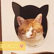 ヒメ日記 2025/04/22 20:45 投稿 葛城 あまね 白夜