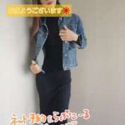 ヒメ日記 2025/04/28 09:30 投稿 葛城 あまね 白夜