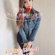 ヒメ日記 2025/05/10 09:15 投稿 葛城 あまね 白夜