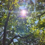 ヒメ日記 2025/05/14 21:20 投稿 葛城 あまね 白夜