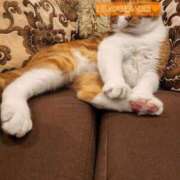 ヒメ日記 2025/07/16 21:15 投稿 葛城 あまね 白夜