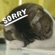 ヒメ日記 2025/08/10 06:06 投稿 葛城 あまね 白夜