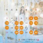 ヒメ日記 2025/11/10 21:15 投稿 葛城 あまね 白夜