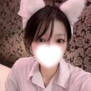 ヒメ日記 2026/10/02 01:03 投稿 めい 舐めたくてグループ～君とサプライズ学園～越谷校
