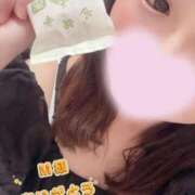 ヒメ日記 2025/05/29 14:19 投稿 宮下みれい 大人めシンデレラ 新横浜店（シンデレラグループ）