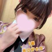 ヒメ日記 2025/11/12 14:00 投稿 宮下みれい 大人めシンデレラ 新横浜店（シンデレラグループ）