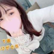 ヒメ日記 2025/11/13 20:34 投稿 宮下みれい 大人めシンデレラ 新横浜店（シンデレラグループ）