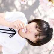 ヒメ日記 2026/04/07 12:20 投稿 あさみ THE ESUTE 五反田店