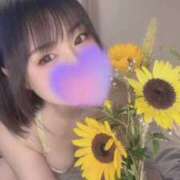 ヒメ日記 2026/07/23 14:50 投稿 あさみ THE ESUTE 五反田店